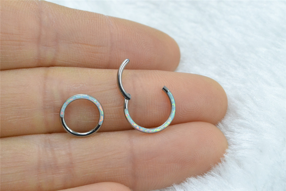 10 개/몫 G23 티타늄 오팔 스톤 원활한 힌지 세그 - Clicker Ring Seamless 리뷰 및 가격