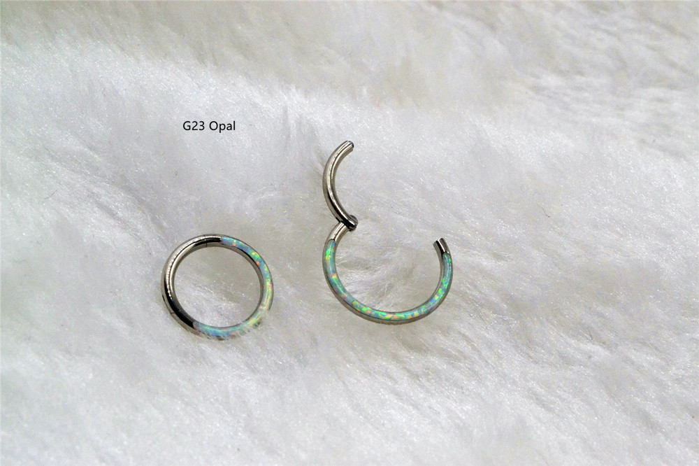 10 개/몫 G23 티타늄 오팔 스톤 원활한 힌지 세그 - Clicker Ring Seamless 리뷰 및 가격