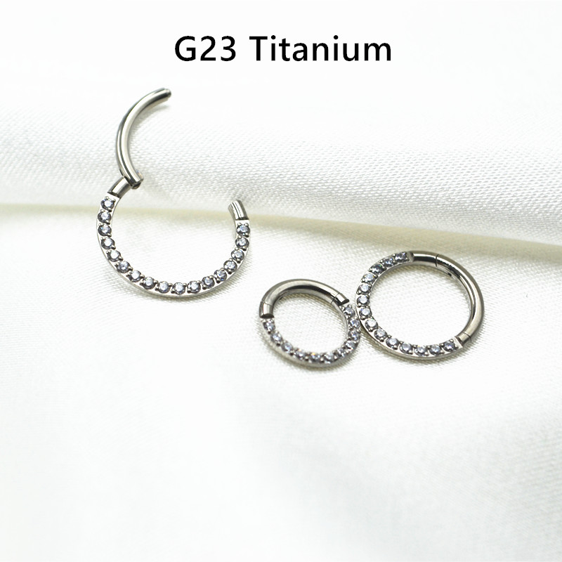 10 개/몫 G23 티타늄 코 원활한 힌지 세그먼트 링 - Clicker Ring Seamless 리뷰 및 가격