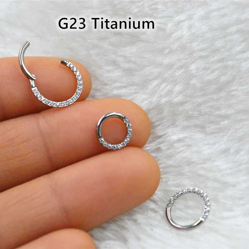 10 개/몫 G23 티타늄 코 원활한 힌지 세그먼트 링 - Clicker Ring Seamless 리뷰 및 가격