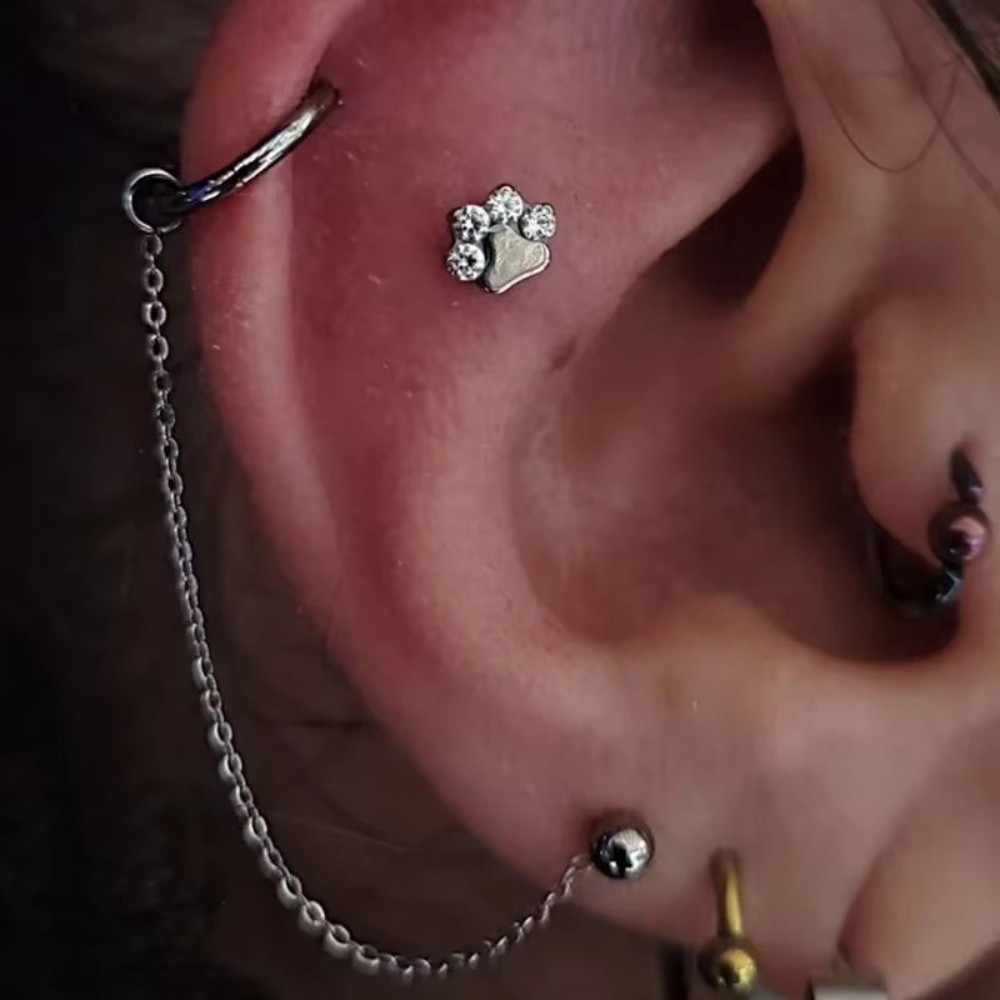 티타늄 코 체인 3중 체인 더블 체인 코구멍 체인 DI - Body Jewelry Ear 리뷰 및 가격