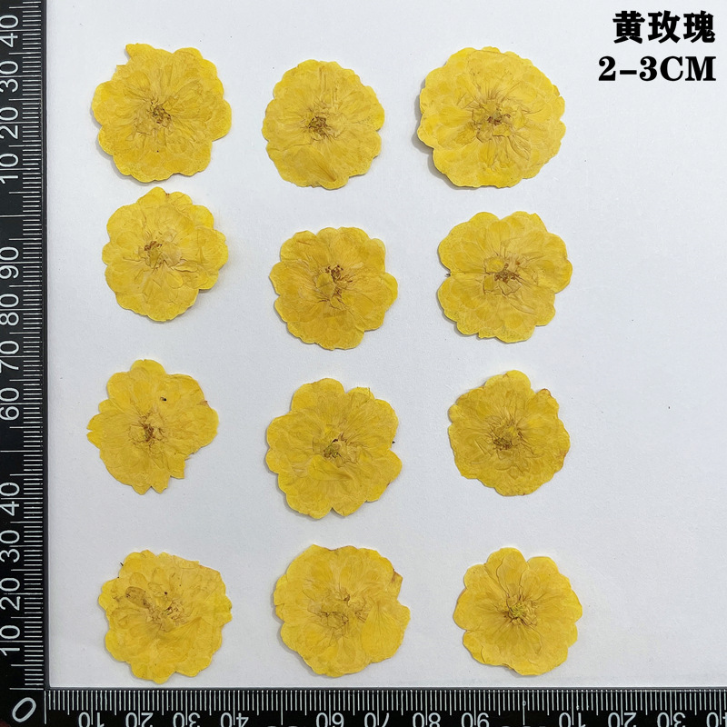 60pcs 누르면 말린 빨간색 노란색 핑크 장미 꽃 식 - Body Jewelry Display Case 리뷰 및 가격