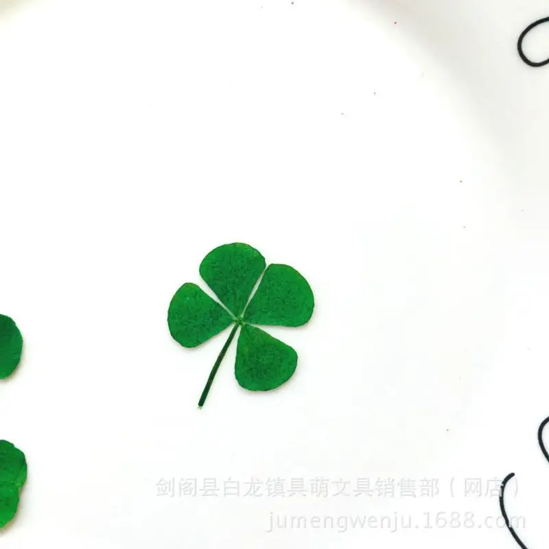 12Pcs 행운의 말린 잎 클로버 UV 수지 장식 네일 - Body Jewelry Display Case 리뷰 및 가격